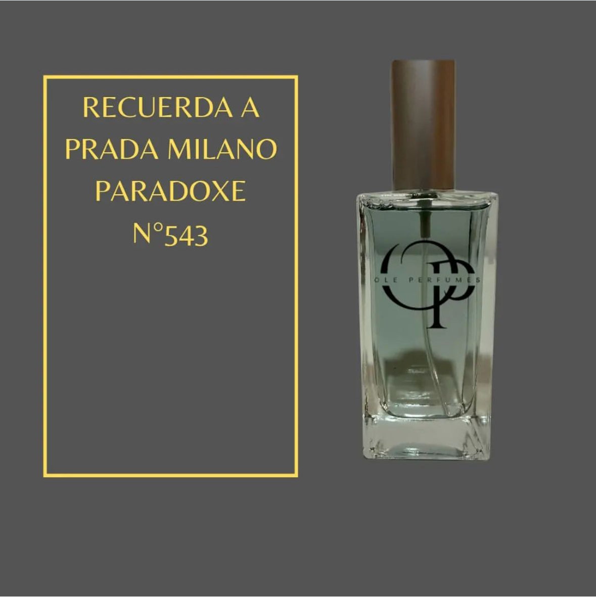 543 RECUERDA A PRADA MILANO PARADOXE