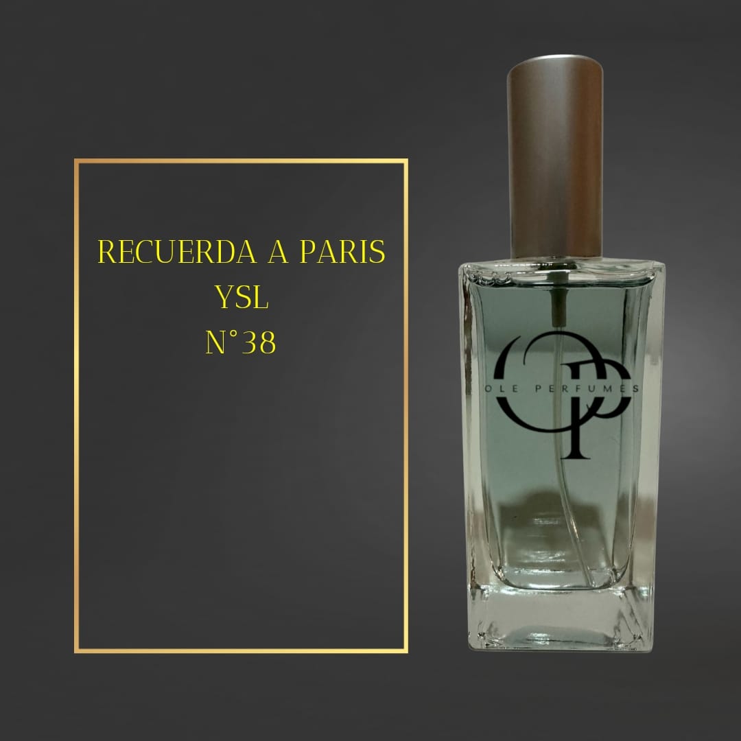 38 RECUERDA A PARIS YSL