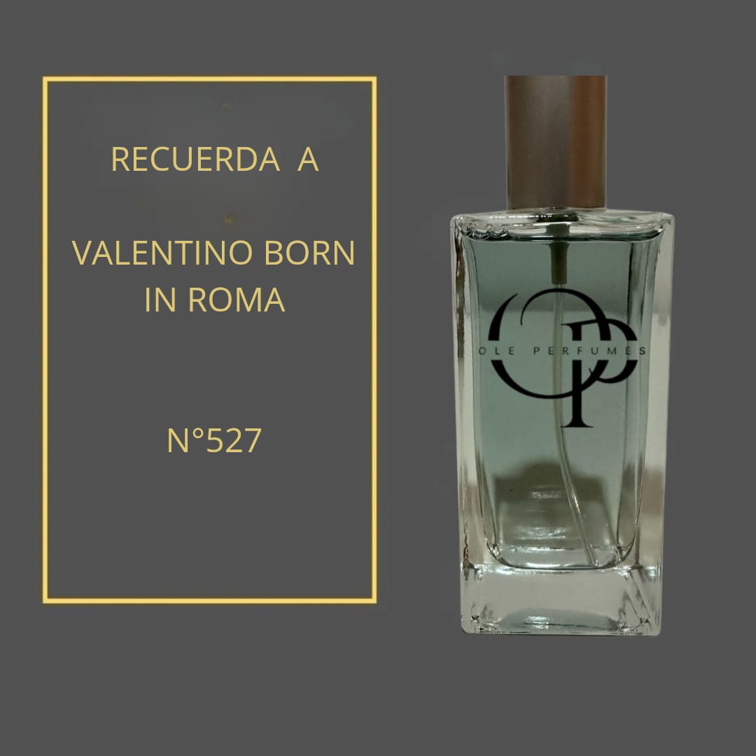 527 RECUERDA A VALENTINO DONNA BORN IN ROMA