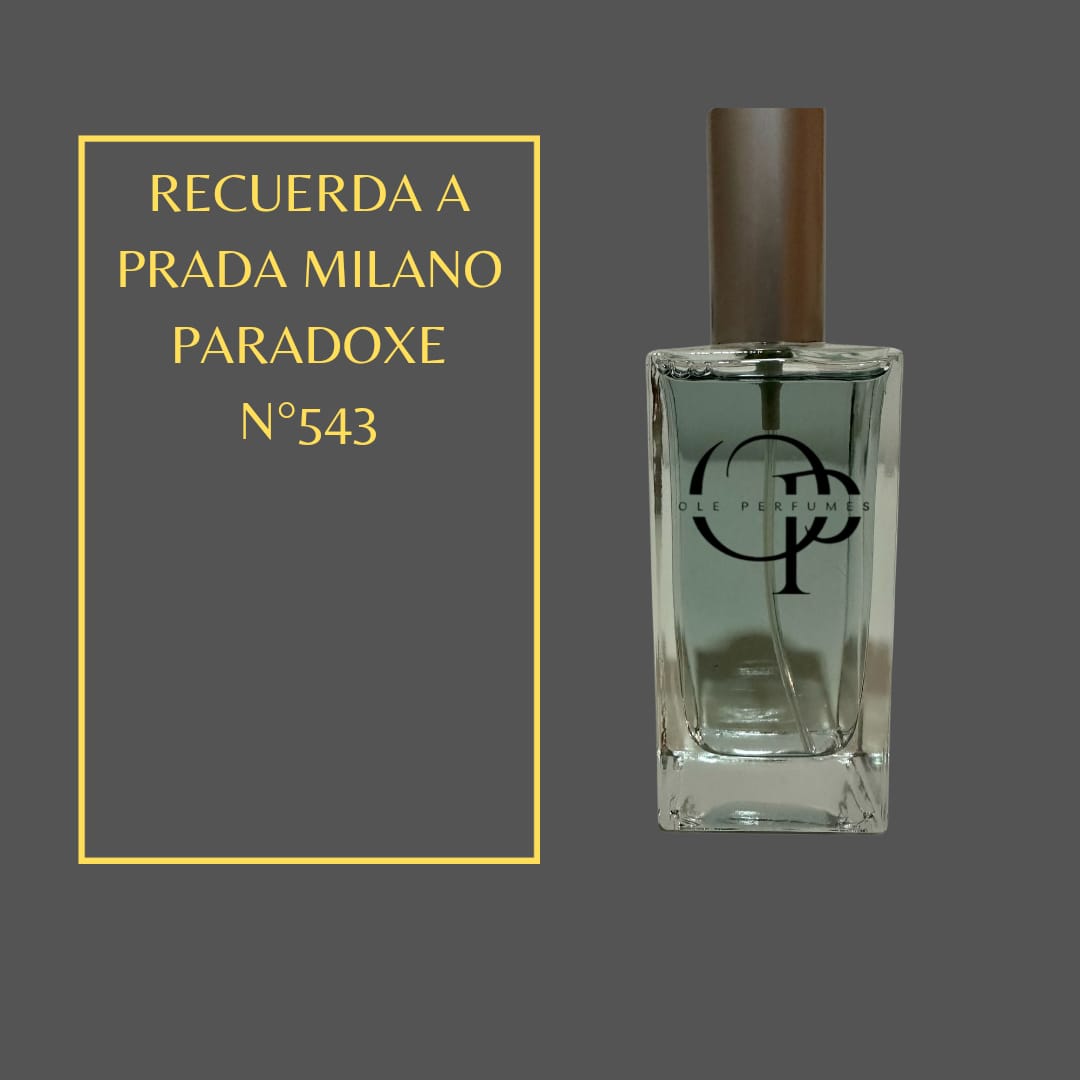 543 RECUERDA A PRADA MILANO PARADOXE